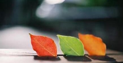 貴陽(yáng)幼兒師范高等?？茖W(xué)校(中職部)2025年招生簡(jiǎn)章