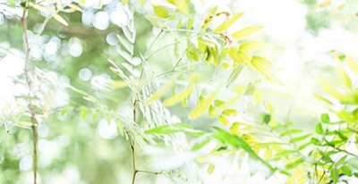 浠水理工中等專業(yè)學(xué)校2025年招生簡章