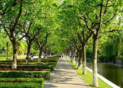 重慶旅游學(xué)校建勝分校2025年招生專業(yè)匯總