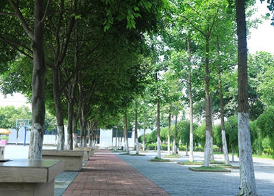 成都城市建設技工學校2025年有那些招生專業(yè)?