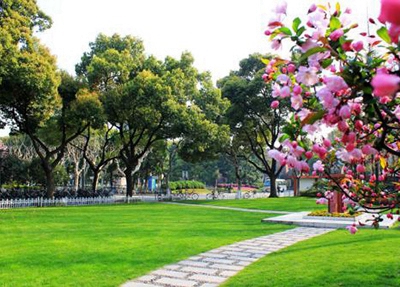 邵陽(yáng)古峰職業(yè)學(xué)校2025年招生簡(jiǎn)章
