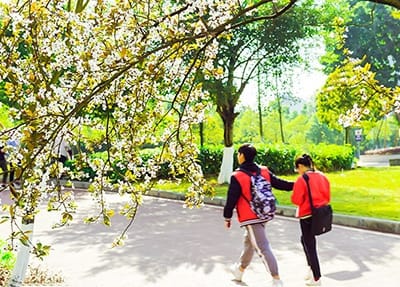 青海柴達(dá)木職業(yè)技術(shù)學(xué)院學(xué)費(fèi)多少錢(qián)一年？有獎(jiǎng)學(xué)金嗎？