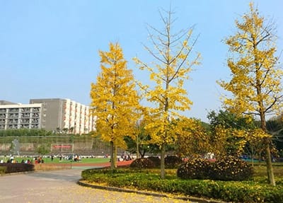 西安美術(shù)學(xué)院附屬中等美術(shù)學(xué)校2023年課程設(shè)置
