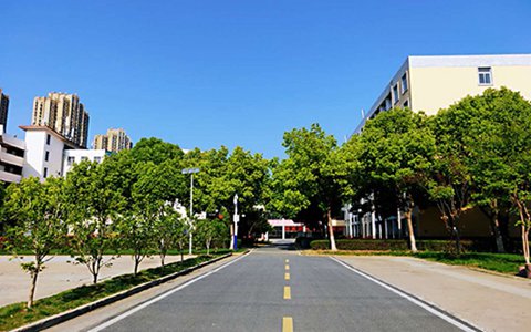 長春醫(yī)學(xué)高等?？茖W(xué)校中醫(yī)學(xué)專業(yè)到底行不行?設(shè)有哪些課程