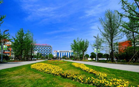 安徽中澳科技職業(yè)學(xué)院商務(wù)管理專業(yè)課程設(shè)置有哪些