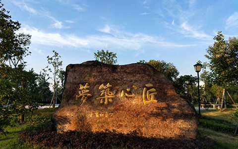 浙江交通職業(yè)技術(shù)學(xué)院國際航運(yùn)業(yè)務(wù)管理專業(yè)都學(xué)些什么?