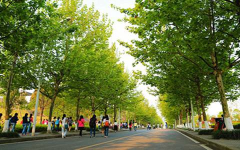 西安鐵道技師