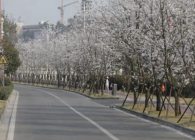 寧夏交通學校2022年熱門專業(yè)有哪些