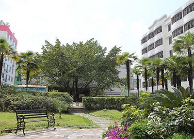 陜西警官職業(yè)學(xué)院法律事務(wù)專業(yè)介紹
