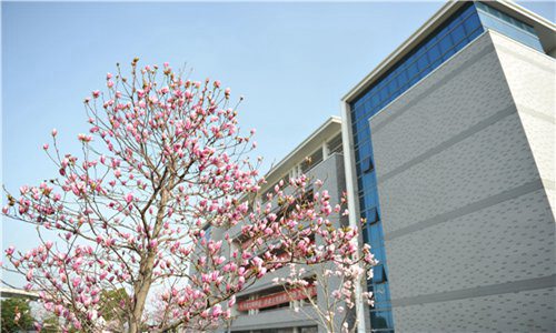 重慶交通職業(yè)學院報關與國際貨運專業(yè)簡介