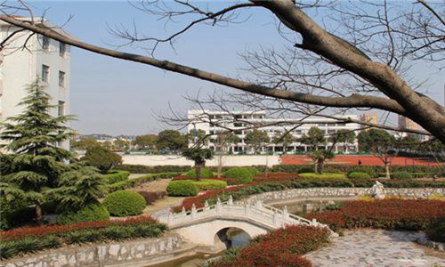 山西省財政稅務(wù)專科學校電子商務(wù)技術(shù)專業(yè)招生介紹