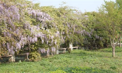 杭州蕭山區(qū)第三中等職業(yè)學校2023年招生要求是什么?招多少人