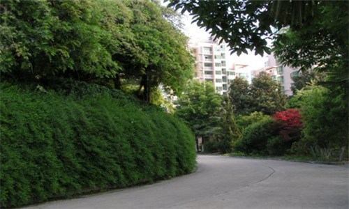 臺(tái)州科技職業(yè)學(xué)院五年制大專專業(yè)介紹