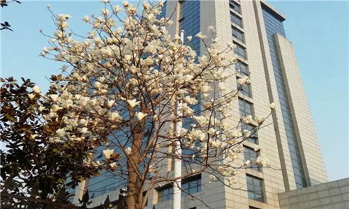 浮梁高級職業(yè)學(xué)校2023年招生辦電話是多少?