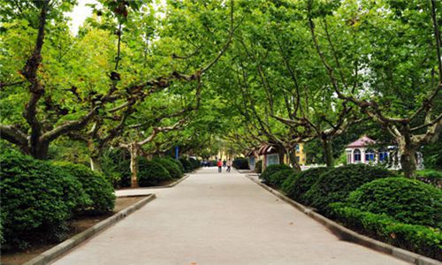 北京經(jīng)濟技術(shù)職業(yè)學院歷年錄取分數(shù)線-怎么樣