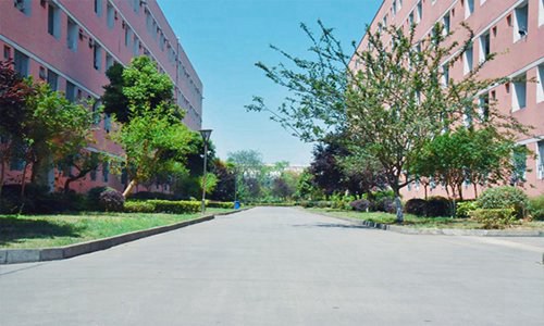 山東勞動職業(yè)技術(shù)學(xué)院汽車檢測與維修技術(shù)專業(yè)專業(yè)介紹