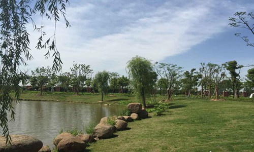 東營(yíng)職業(yè)學(xué)院會(huì)計(jì)專業(yè)專業(yè)介紹