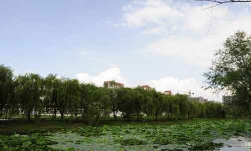漳州科技職業(yè)學(xué)院網(wǎng)絡(luò)營銷專業(yè)招生介紹