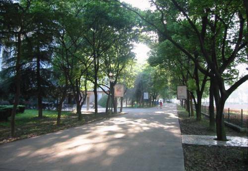 吉林職業(yè)技術(shù)學(xué)院康復(fù)治療技術(shù)專業(yè)招生介紹