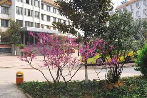 商丘職業(yè)技術學院現(xiàn)代教育技術專業(yè)介紹