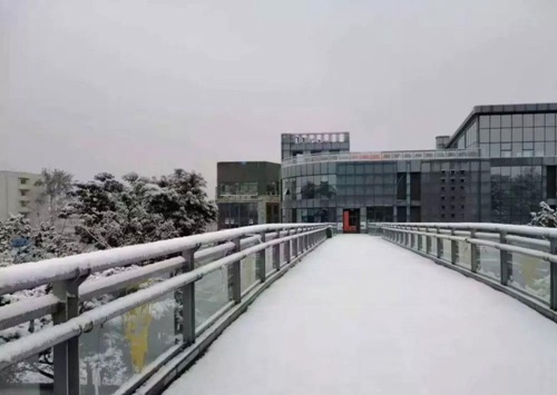 山東電子職業(yè)技術學院金融管理專業(yè)介紹