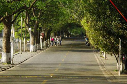 黑龍江旅游職業(yè)技術學院新能源汽車技術專業(yè)介紹