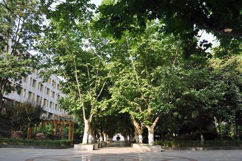 河南機(jī)電職業(yè)學(xué)院包裝策劃與設(shè)計(jì)專(zhuān)業(yè)介紹