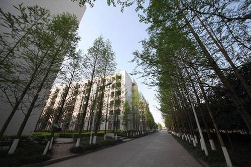 安徽冶金科技職業(yè)學(xué)院城市軌道交通運營管理專業(yè)介紹