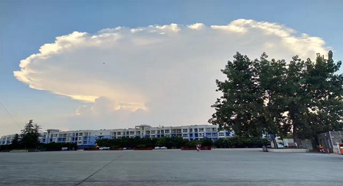 廈門2023男生推薦十大專業(yè) 男孩學(xué)什么專業(yè)好