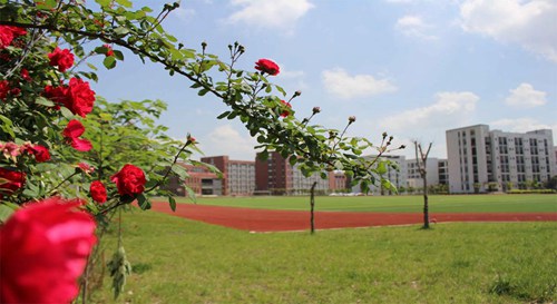 山西水利職業(yè)技術(shù)學(xué)院網(wǎng)絡(luò)營銷專業(yè)介紹