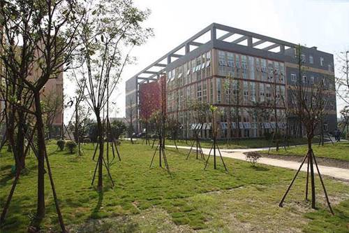 河北交通職業(yè)技術學院航空空乘有高鐵乘務專業(yè)嗎