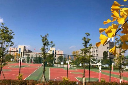 山西老區(qū)職業(yè)技術(shù)學院康復(fù)治療技術(shù)專業(yè)介紹