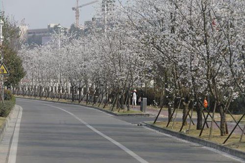 山西同文職業(yè)技術(shù)學(xué)院醫(yī)學(xué)檢驗技術(shù)專業(yè)介紹