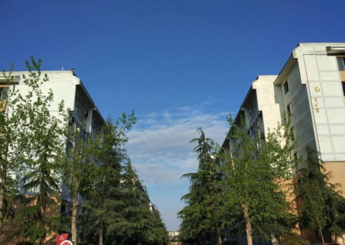 石家莊經(jīng)濟(jì)職業(yè)學(xué)院航空空乘2022年3+2五年制大專錄取分?jǐn)?shù)線