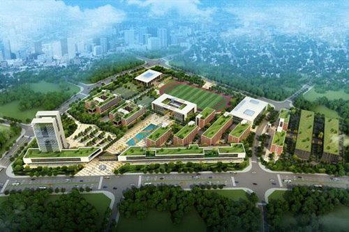 豐南幼師綜合職教中心2022年分數線