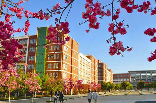 2022年安徽醫(yī)科大學(xué)醫(yī)學(xué)檢驗(yàn)技術(shù)（中外合作培養(yǎng)）專(zhuān)業(yè)招生