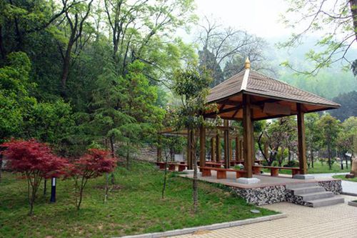 高碑店金橋中專學(xué)校航空空乘2022招生簡(jiǎn)章