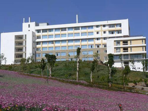 廈門2023計(jì)算機(jī)信息管理專業(yè)學(xué)什么 有哪些課程