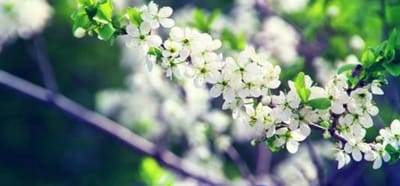 北海藝術(shù)設(shè)計(jì)職業(yè)學(xué)院服裝設(shè)計(jì)專(zhuān)業(yè)介紹