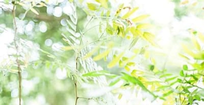 廣西城市職業(yè)學院商務英語專業(yè)介紹