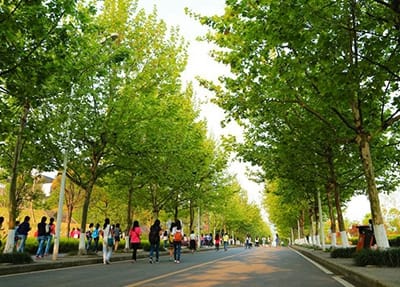 廣西演藝職業(yè)學(xué)院報關(guān)與國際貨運專業(yè)介紹