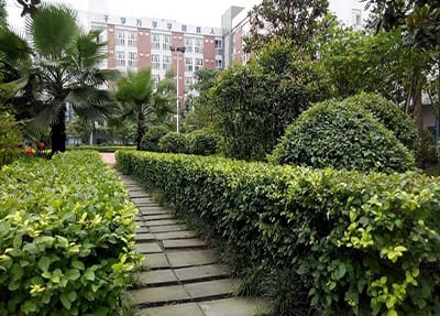 洛南縣職業(yè)技術教育中心