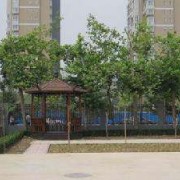 石家莊曙光中等專(zhuān)業(yè)學(xué)校