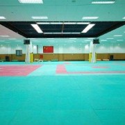 北京什剎海體育運(yùn)動(dòng)學(xué)校
