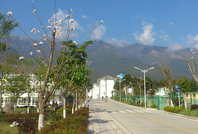 大理農林職業(yè)技術學院