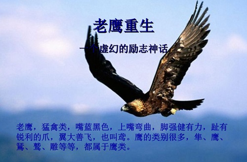 朝陽市衛(wèi)生學(xué)校2025年學(xué)費(fèi)多少？貴嗎？