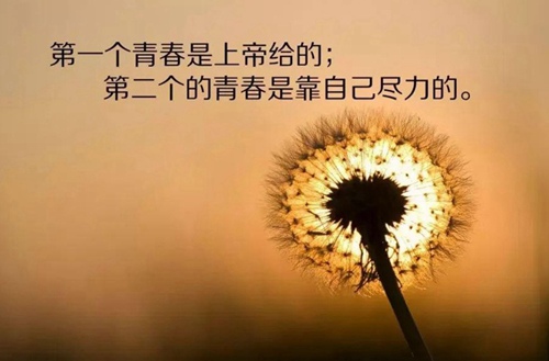 2025重慶江南職業(yè)學(xué)校開(kāi)設(shè)的專(zhuān)業(yè)一覽表