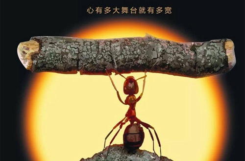 2025重慶市商務(wù)高級(jí)技工學(xué)校開設(shè)的專業(yè)一覽表