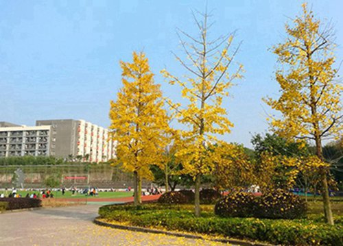 青海2024讀中專學(xué)校需要什么證件