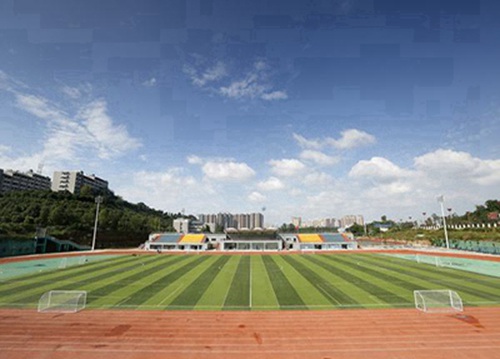 四川省安岳第一職業(yè)技術(shù)學(xué)校2025年招生條件是什么